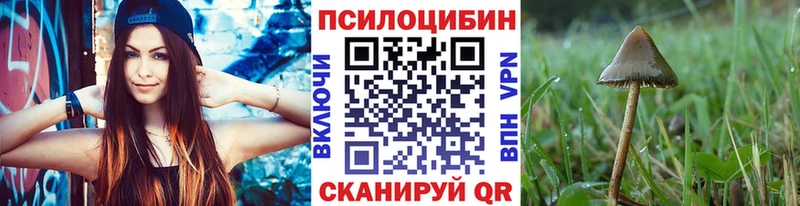Псилоцибиновые грибы мицелий мега как войти Подольск