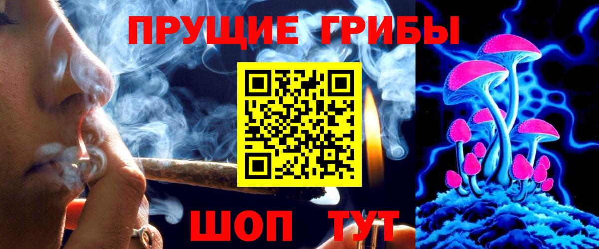 Подольск  Галлюциногенные грибы GOLDEN TEACHER  что такое наркотик  Вход с VPN 